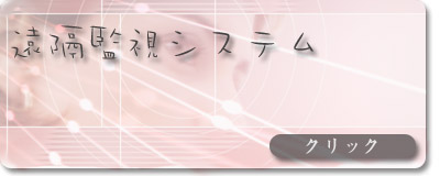 ���u�Ď��V�X�e��